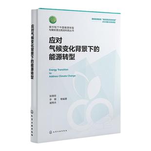 应对气候变化背景下的能源转型 张继宏 国际气候变化与能源转型新趋势 能源企业面临挑战机遇 能源经济学环境经济学等专业师生参考