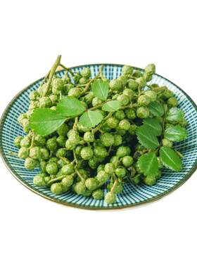 江津九叶青花椒现采摘保鲜花椒