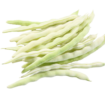 九粒白芸豆早熟高产种子寿禾