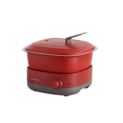 丽克特电煮锅多功能电火锅家用