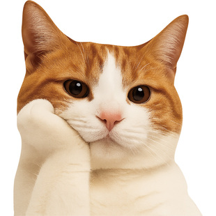 搞笑网红问号猫咪猫meme车贴汽车贴纸表情个性创意防水车身贴定制