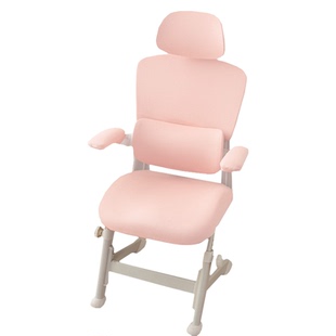 适用爱果乐星动椅套人体工学护腰坐姿椅套家用办公椅背套头枕套