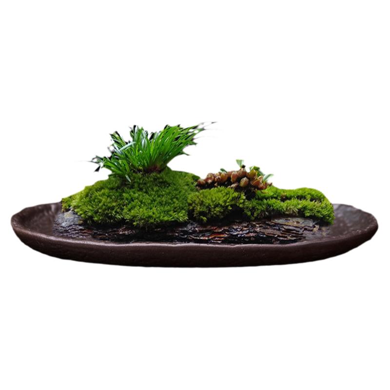 苔藓吸水石盆器盆景盆长方形菖蒲假山上水石水培紫砂陶瓷底盘盆栽