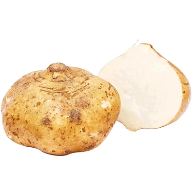 牧马山凉薯种子水果地瓜种籽特大白瓤香甜早熟沙葛土瓜春夏瓜果籽