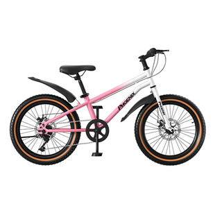 凤凰儿童自行车6-12-15岁女孩青少年中大女童男孩小学生山地车