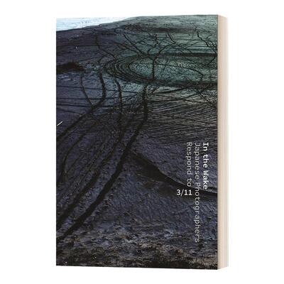 梦醒时分 关于3.11日本地震的摄影集 英文原版 In the Wake Japanese Photographers Respond to 3-11 精装 英文版 进口英语书籍