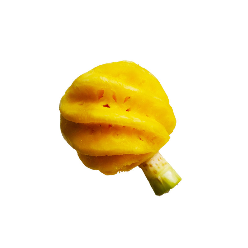 广西新鲜凤梨手撕凤梨当季时令水果树上熟非香水菠萝纯甜大凤梨