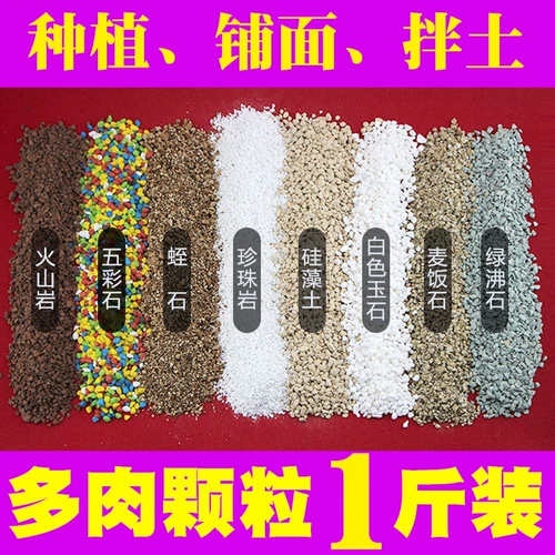  嗳 媸 ㄓ ㄓ       窖 窖 蠓 蠓 蠓 嗳 嗳 嗳 嗳 嗳 珠 珠 珠 珠 珠 珠