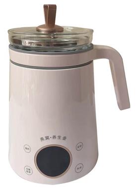 迷你燕窝壶煮茶器多功能炖盅