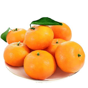 正宗云南哀牢山新鲜沃柑当季水果现摘橘子整箱桔子批发蜜橘砂糖橘