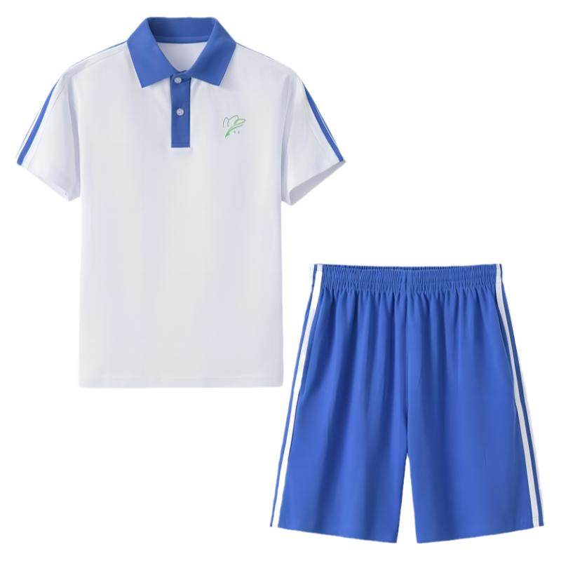 深圳校服小学生夏季短袖短裤套装