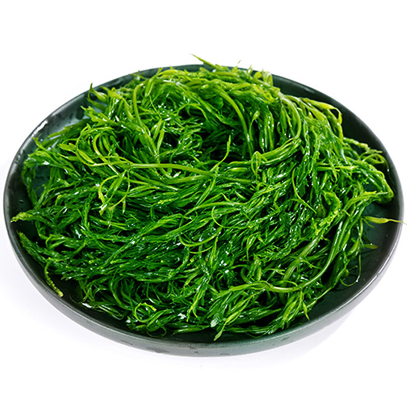 马尾藻新鲜盐渍商用野生海藻菜羊栖菜长寿菜海草商用凤尾菜鞭炮笋