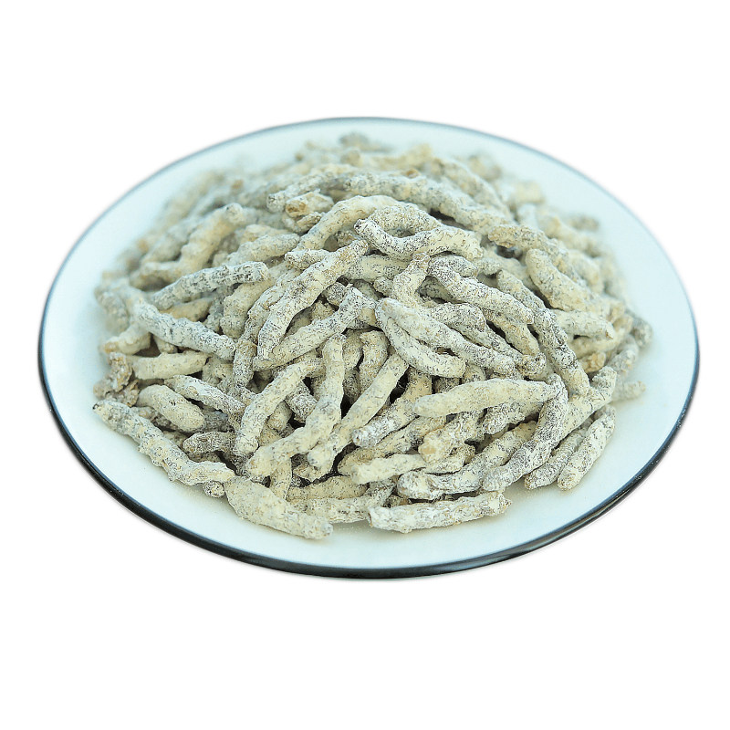 正宗生白僵蚕中药材500g克包邮白僵虫天虫僵虫姜蚕姜虫生僵蚕清水