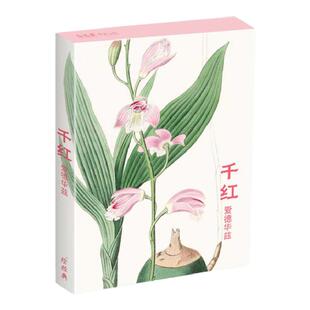 临摹卡《千红》水彩大师爱德华兹绘 32张名家花卉水彩画册集艺术明信片手绘插画简约小清新文艺日系复古风