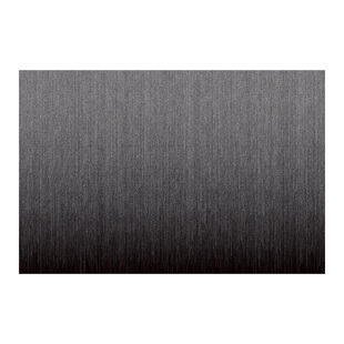 黑色入户门地垫2026新款进门门口脚垫耐脏免洗家用防滑玄关地毯