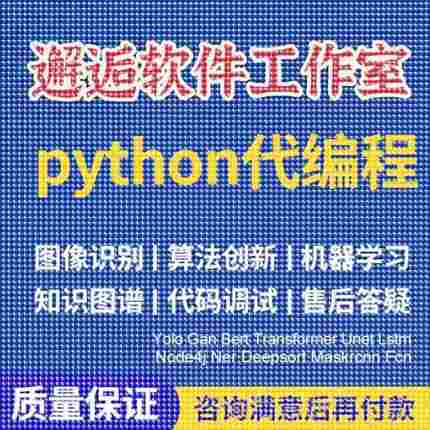 Python代编程强化深度机器学习图像识别知识图谱算法创新调试代码