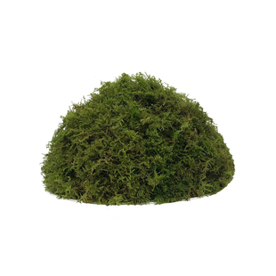 干苔藓蝴蝶兰花石斛种植专用营养土水苔育苗嫁接乌龟冬眠垫材透气