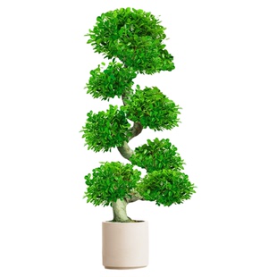 造型金钱榕大盆栽2025新款摇钱树绿植客厅办公室金钱树发财树四季