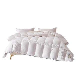 水星家纺A类冬被松花江羽绒被保暖防螨被芯秋冬鸭绒被新年礼赠