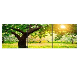 现代客厅山水风景无框装饰画 墙画壁画客厅挂画风景常青树客厅