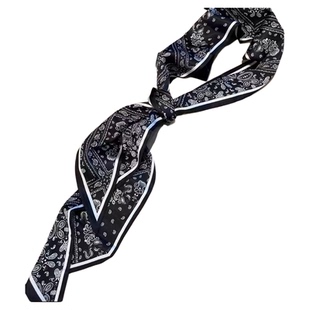 长条小丝巾女春秋夏季黑色护颈围脖子搭配衬衫飘带丝带腰带薄围巾