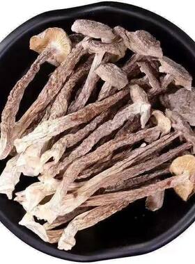 4A级鹿茸菇干货特级200g/500克福建野生香菇菌类旗舰店鹿茸菌菌菇