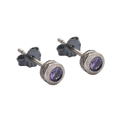 TWOLEAVESS925纯银圆形紫钻耳钉