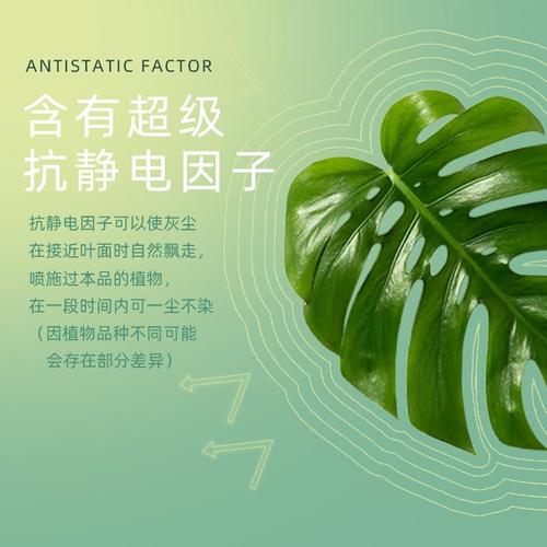 保康叶面光亮剂600ml天堂鸟龟背竹绿萝观叶植物叶片洁净亮丽防尘