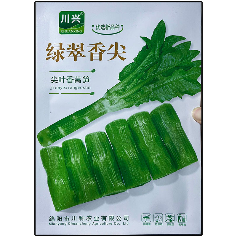 四季耐热莴笋皮肉浅绿色金种子孑