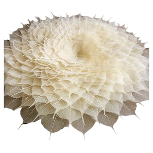 菩提叶脉标本真树叶干花diy手工材料禅意橱窗饰品绘画拼贴画书签