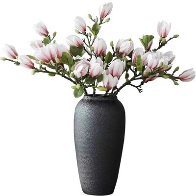 水培植物玉兰鲜花花叶春