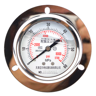 耐震压力表YN60ZT轴向前边带边液压减震油压表负压真空背接压力表