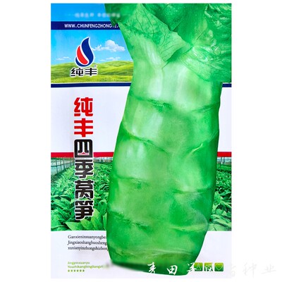 耐热耐寒青脆香莴笋种子农家蔬菜