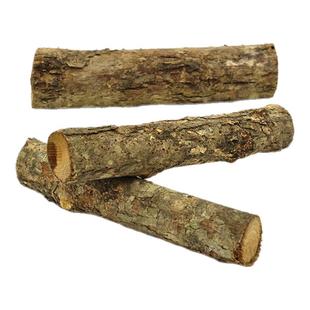 甲虫成虫 攀爬木棒  一份三根 防猝死布景