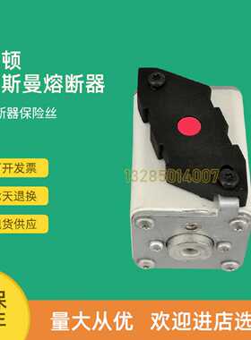 议价全新快速熔断器保险170M4362 170M4363 170M4364 170M4365