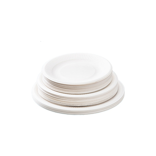 一次性纸浆餐盒烧烤托盘打包盒盘子纸碗圆形家用碗筷套装菜盘汤碗