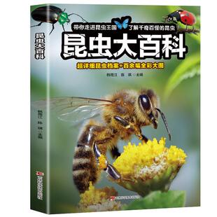 【大开本】昆虫百科全书 超详细昆虫档案+百余幅全彩大图 了解千奇百怪的昆虫 小学生科普类读物正版介绍关于昆虫的书籍儿童绘本