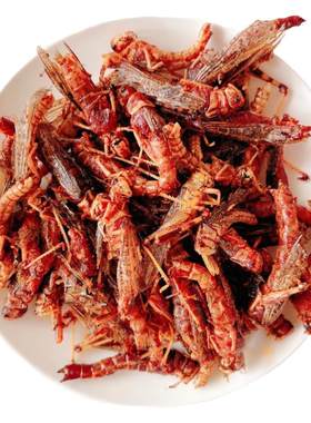 特惠买1发4包【26新货/当天鲜炸】蚂蚱油炸即食蝗虫昆虫美食蚱蜢