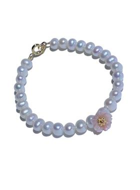 天然粉蝶贝珍珠贝壳手