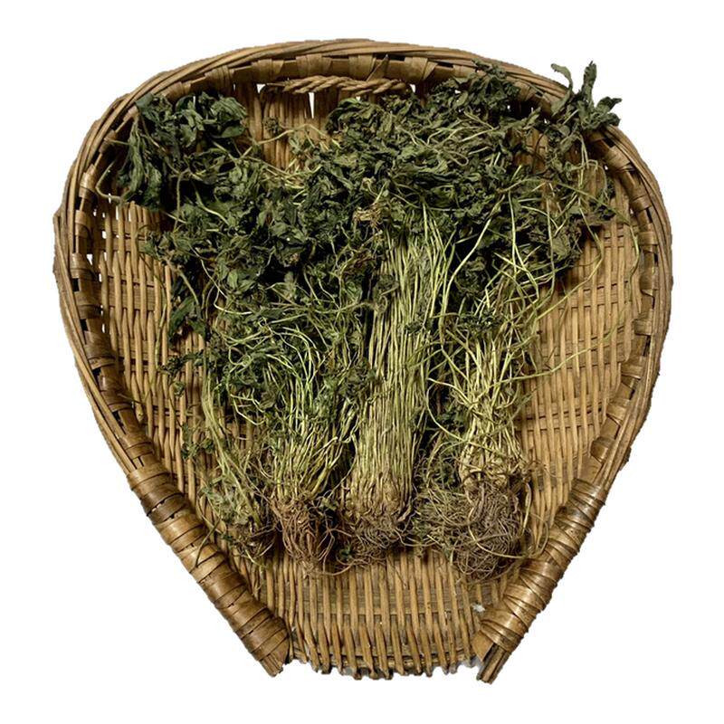 干五皮风当季中药材蛇含草五爪龙五星草五叶莓蛇含委陵菜带根全草