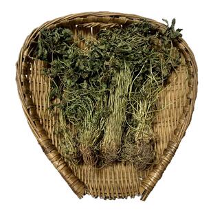 干五皮风当季中药材蛇含草五爪龙五星草五叶莓蛇含委陵菜带根全草