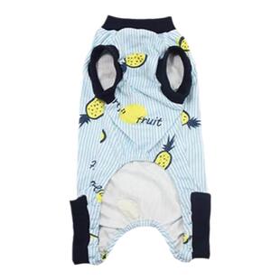 宠物狗狗衣服秋季薄款冬季秋冬款四脚春秋背心柯基防掉毛泰迪幼犬