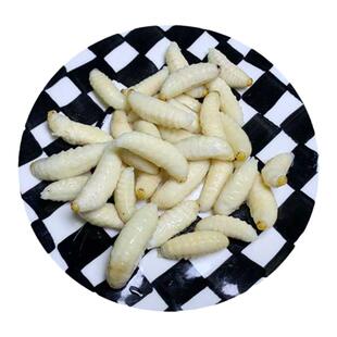 虎头蜂马蜂蛹包邮大黑蜂蜂蛹黑蜂野生大马蜂昆虫马蜂蛹土蜂蛹