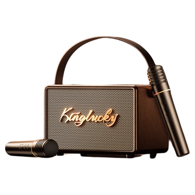 爱乐乐团联合调音】顶奢K歌音响