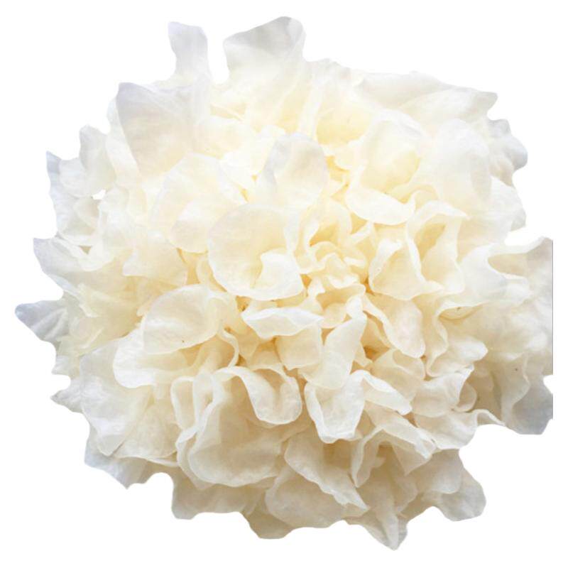 古田鲜活银耳特级糯耳雪耳丑耳无硫白木耳新鲜云耳糯软多胶6朵装