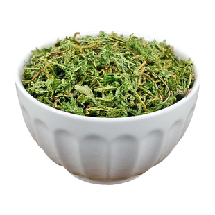 石上柏中药材静萱正品地柏草地侧柏地梭罗草龙鳞草非野生石上柏粉