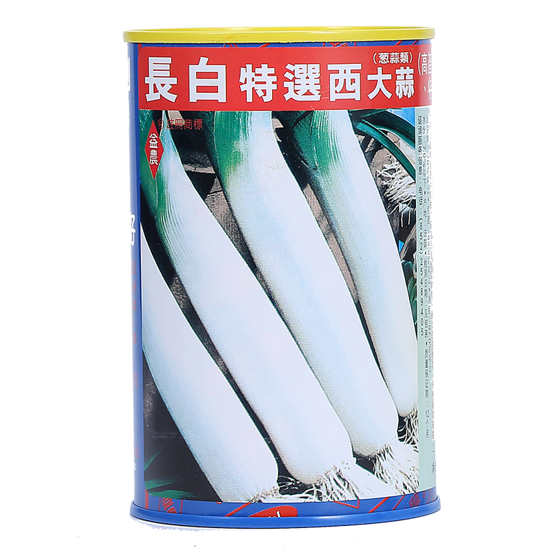 进口长白特选大葱种子