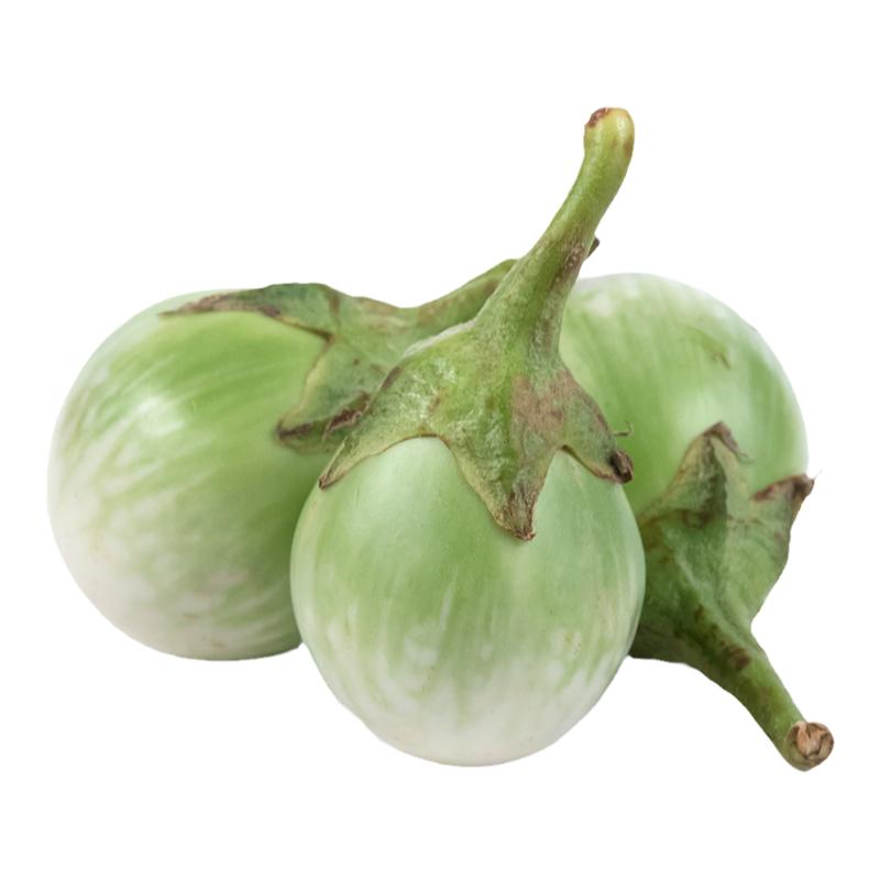 圆茄新鲜泰国菜东南亚蔬菜食材