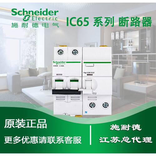 漏电断路器2PC16A带漏电A9F18216A9V57240