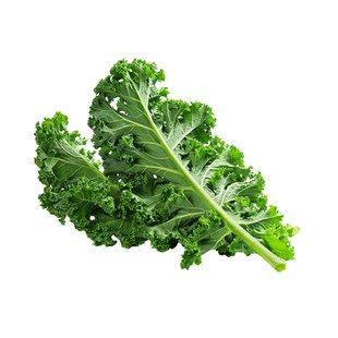 继红有机羽衣甘蓝当季新鲜现摘现发健身蔬菜时令生鲜榨汁沙拉顺丰